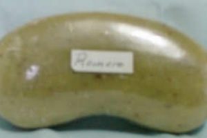 Jabon Artesanal de Romero