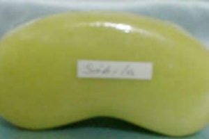 Jabon Artesanal de Sabila