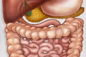 Trastornos Gastrointestinales