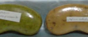 jabon artesanal Kit Reductivo Y Reafirmante