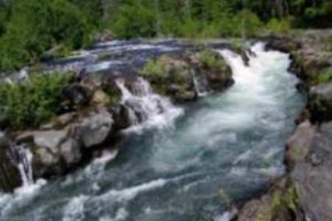 sumergeme en el rio de tu espiritu